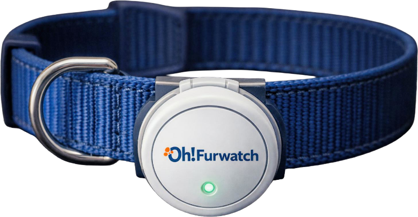 Oh!Furwatch smart safety collar with tracker